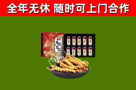墨竹工卡回收冬虫夏草价格